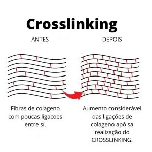 Esquema das fibras de colágeno antes e depois do crosslinking, com mais ligações entre as fibras depois do tratamento.